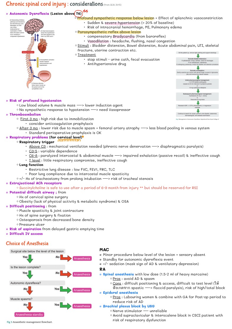 #SUM : Chronic Spinal Cord Injury & Autonomic Dysreflexia In Anesthesia ...