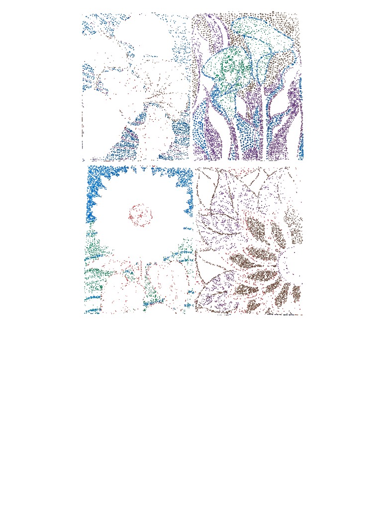 Flowers! - Notability Gallery