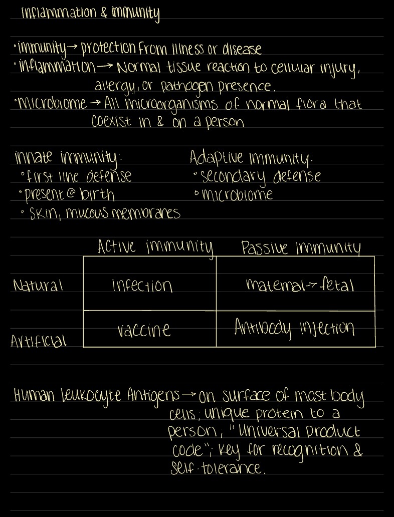 Inflammation, Immunity, And Infection - Notability Gallery