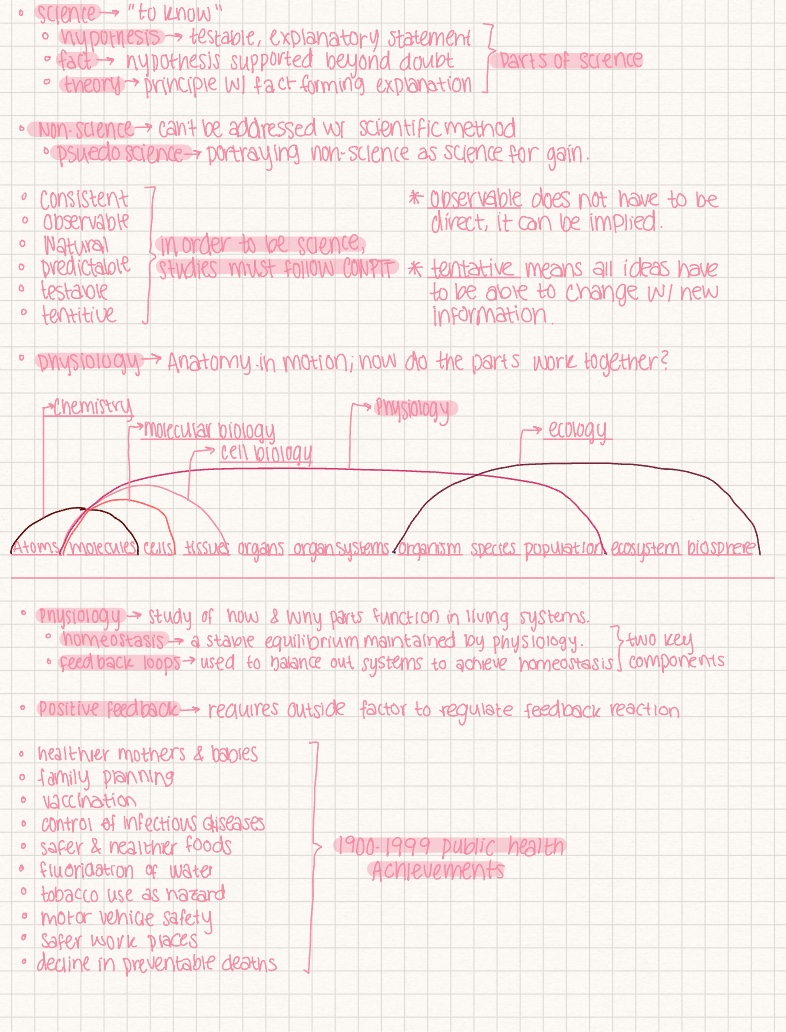 Physiology Week 1 Notes Copy - Notability Gallery