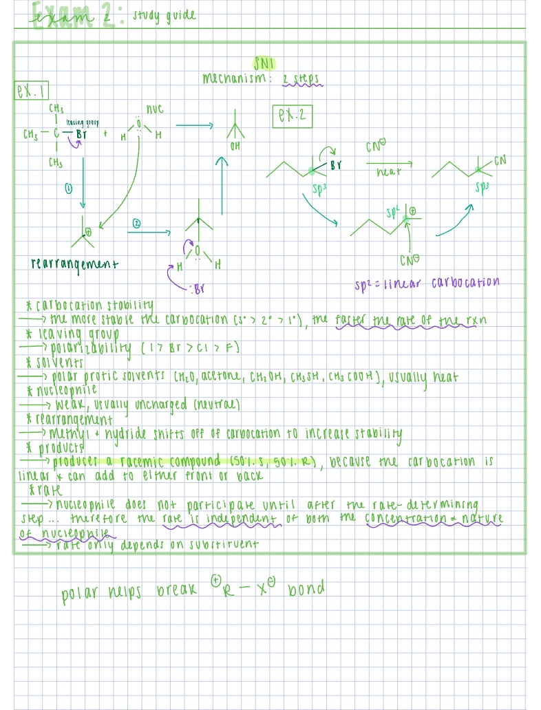 Exam 2 Study Guide - Notability Gallery