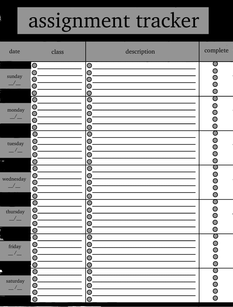 notability assignment tracker