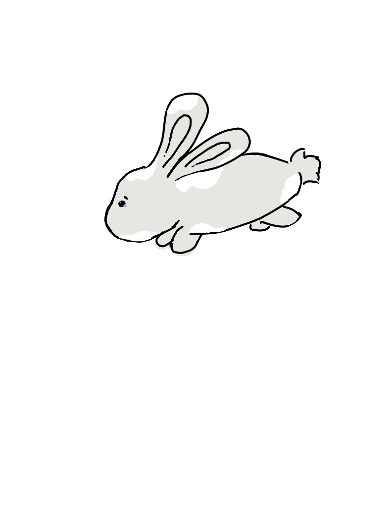 BUNNY - Notability Gallery