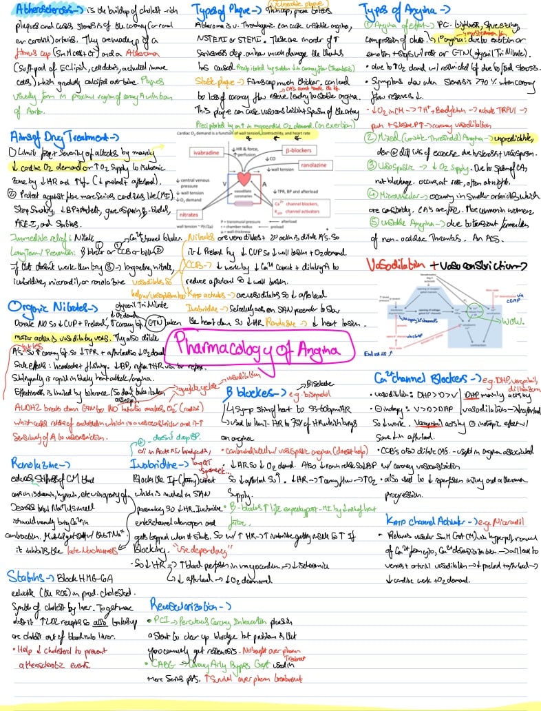 Pharmacology Of Angina - Notability Gallery