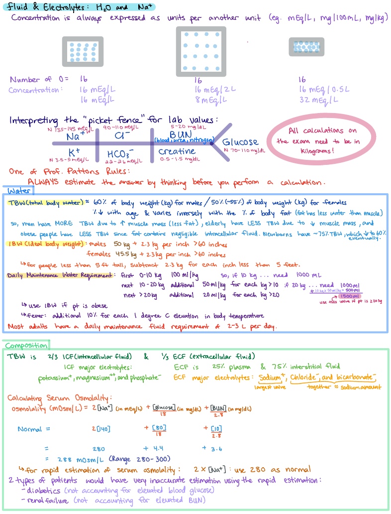 Fluid & Electrolytes - Notability Gallery