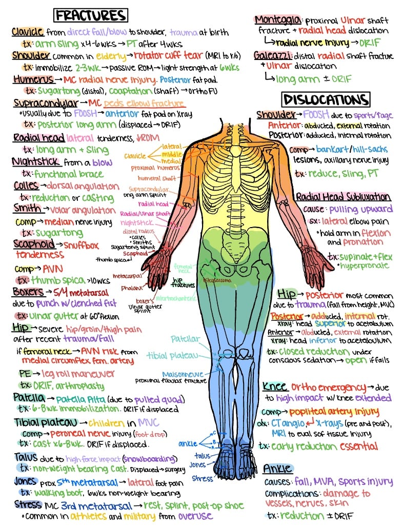 Fractures And Dislocations - Notability Gallery