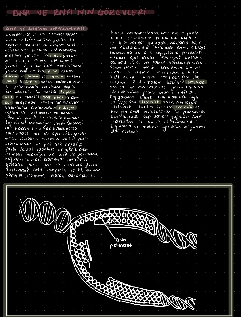 Physiology - Notability Gallery