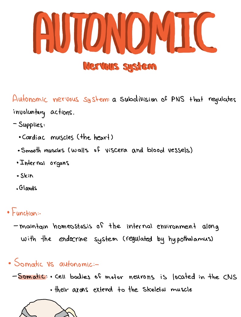 Note 18 Feb 2022 - Notability Gallery
