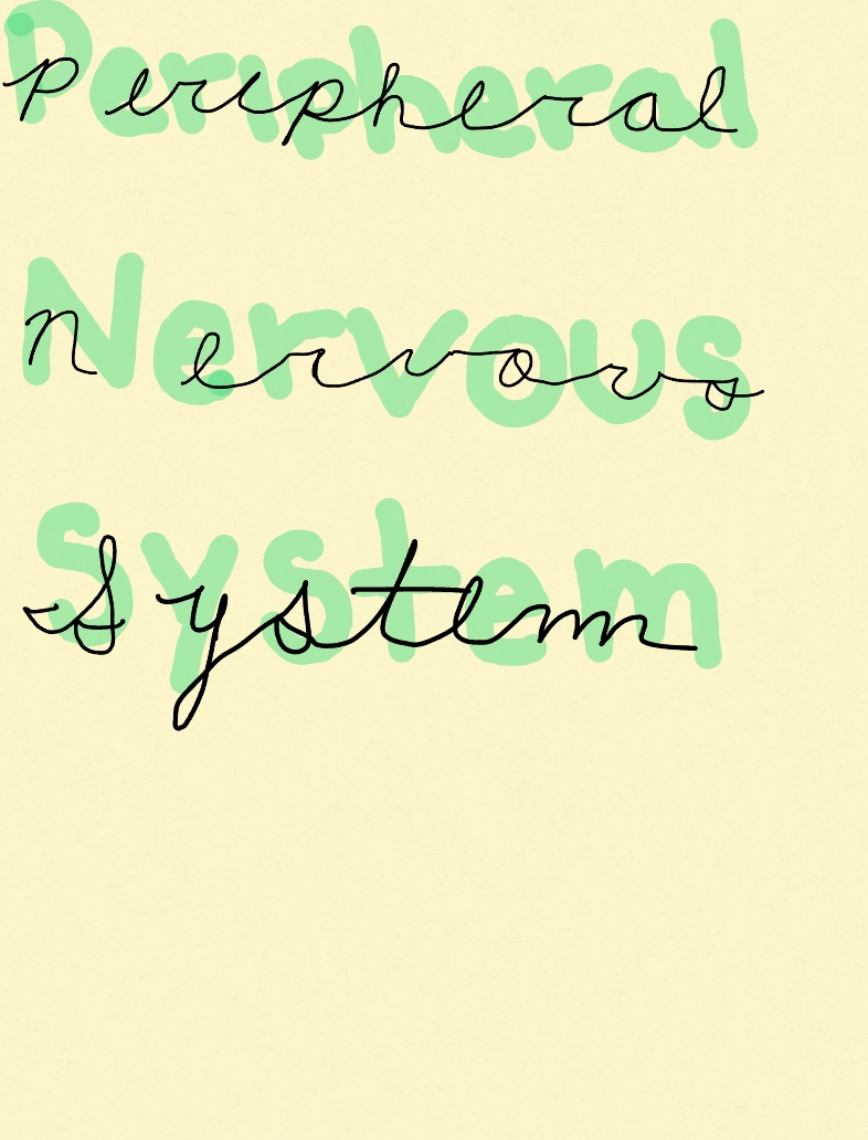 PNS Notes - Notability Gallery