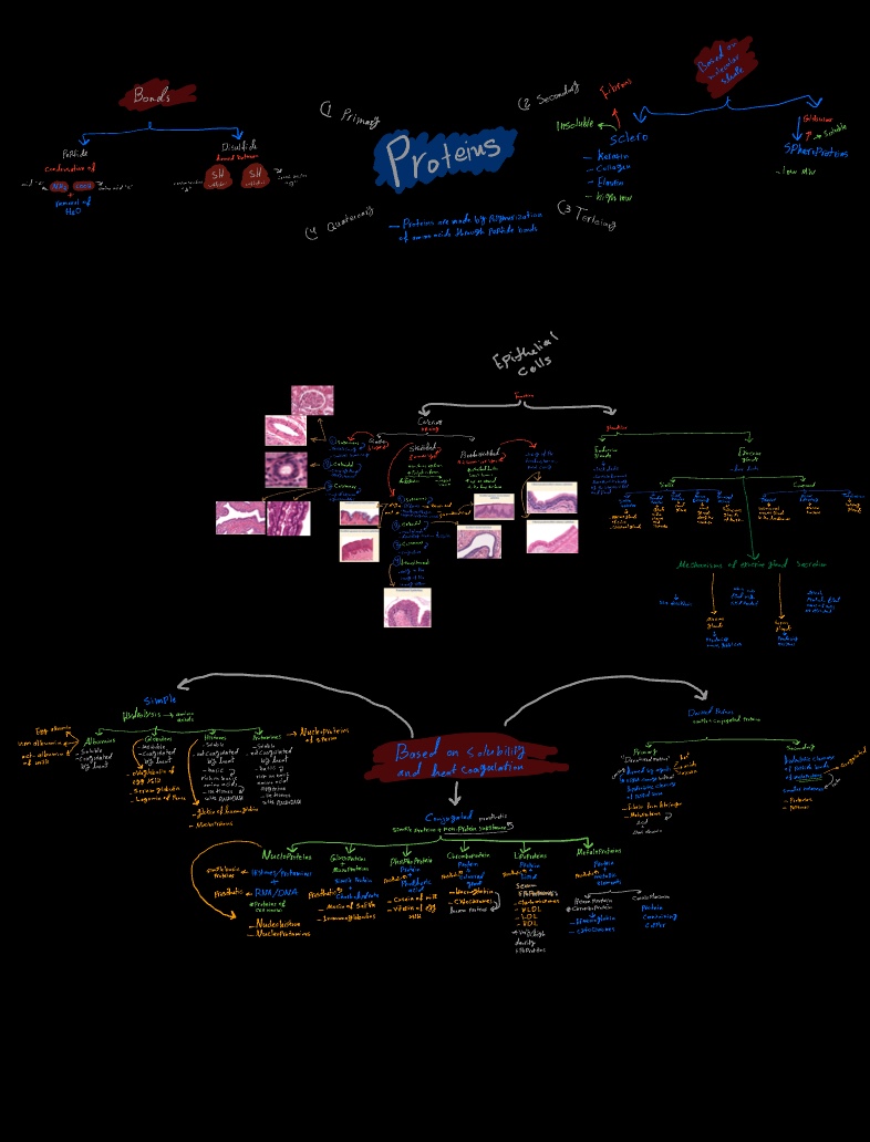Note 4 Jun 2022 - Notability Gallery