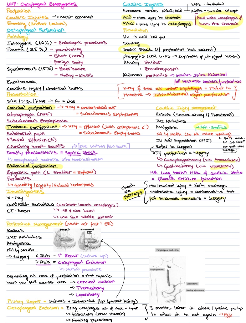 07-09: Oesophageal Surgery Summary - Notability Gallery