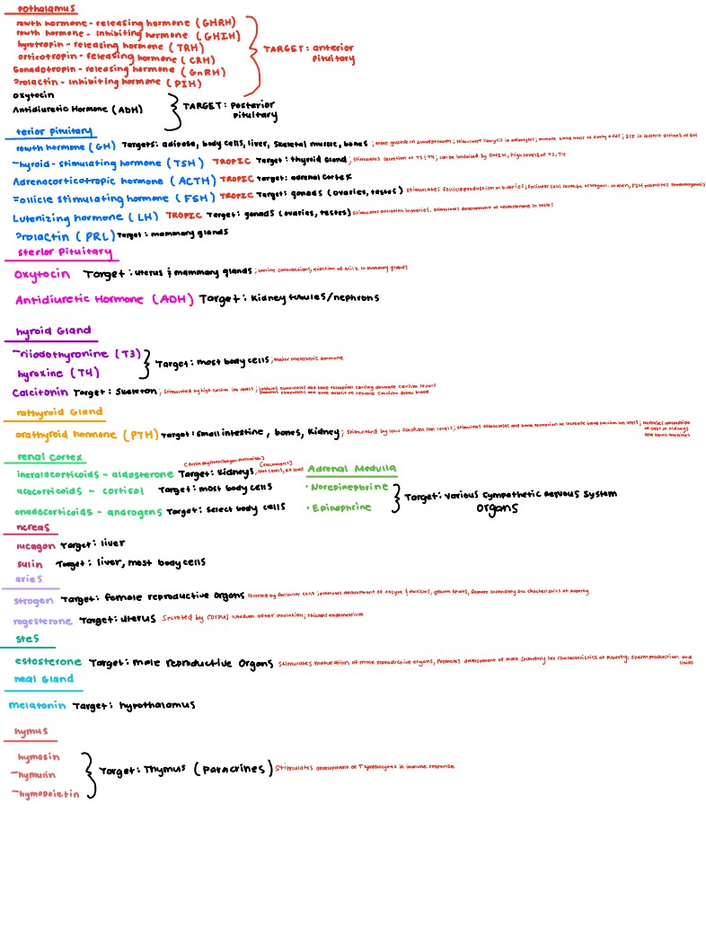 Hormones - Notability Gallery