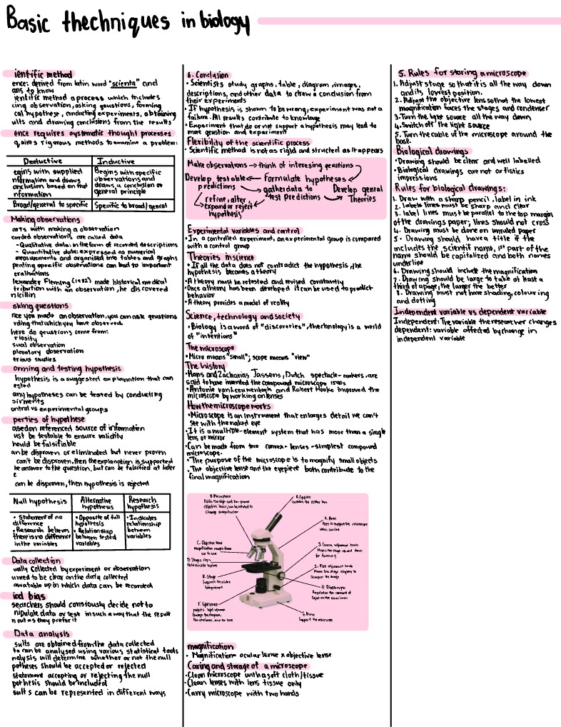 Unit 3 Basic Techniques In Biology - Notability Gallery