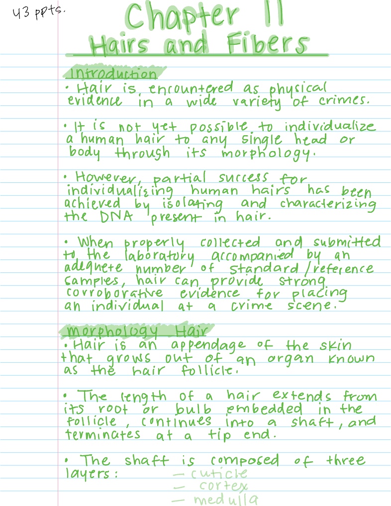 Chapter 11 Notes - Notability Gallery