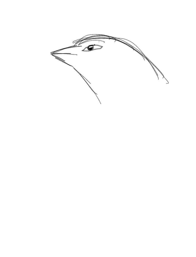 add-to-the-burd-notability-gallery