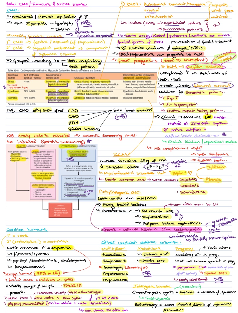 S04: Cardiomyopathy, Tumours & Cardiac Diseases (Dr L De Jag ...