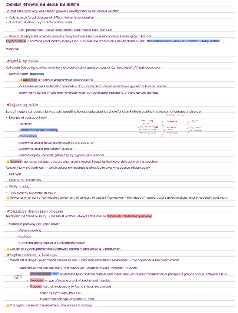 Altered Tissues Notes - Notability Gallery