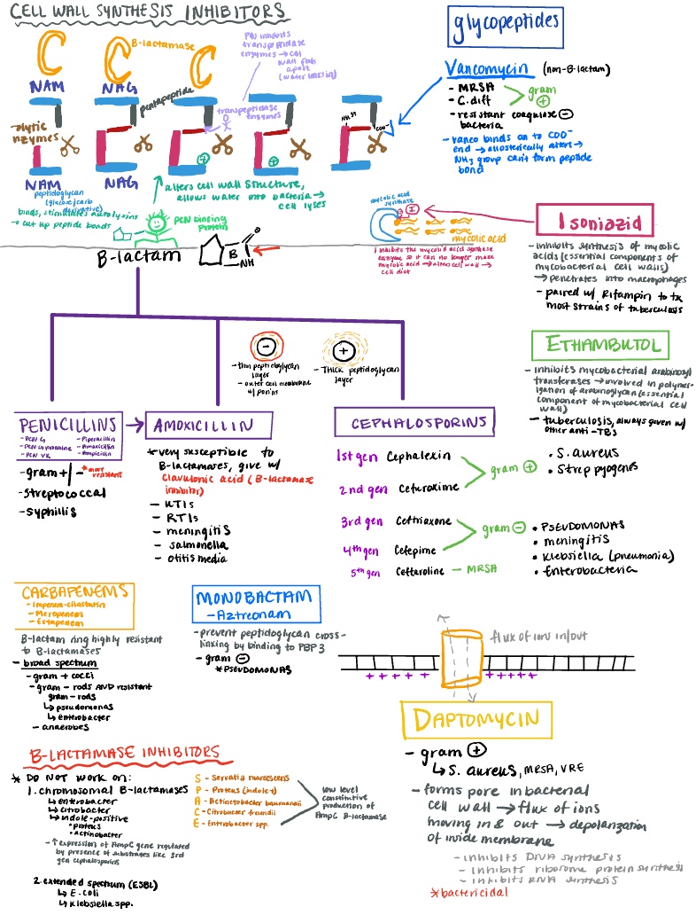 Note Jan 15, 2022 - Notability Gallery