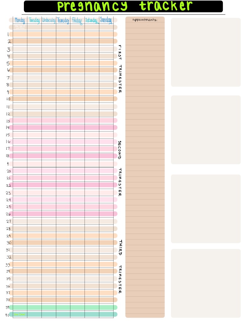 Pregnancy Tracker - Notability Gallery