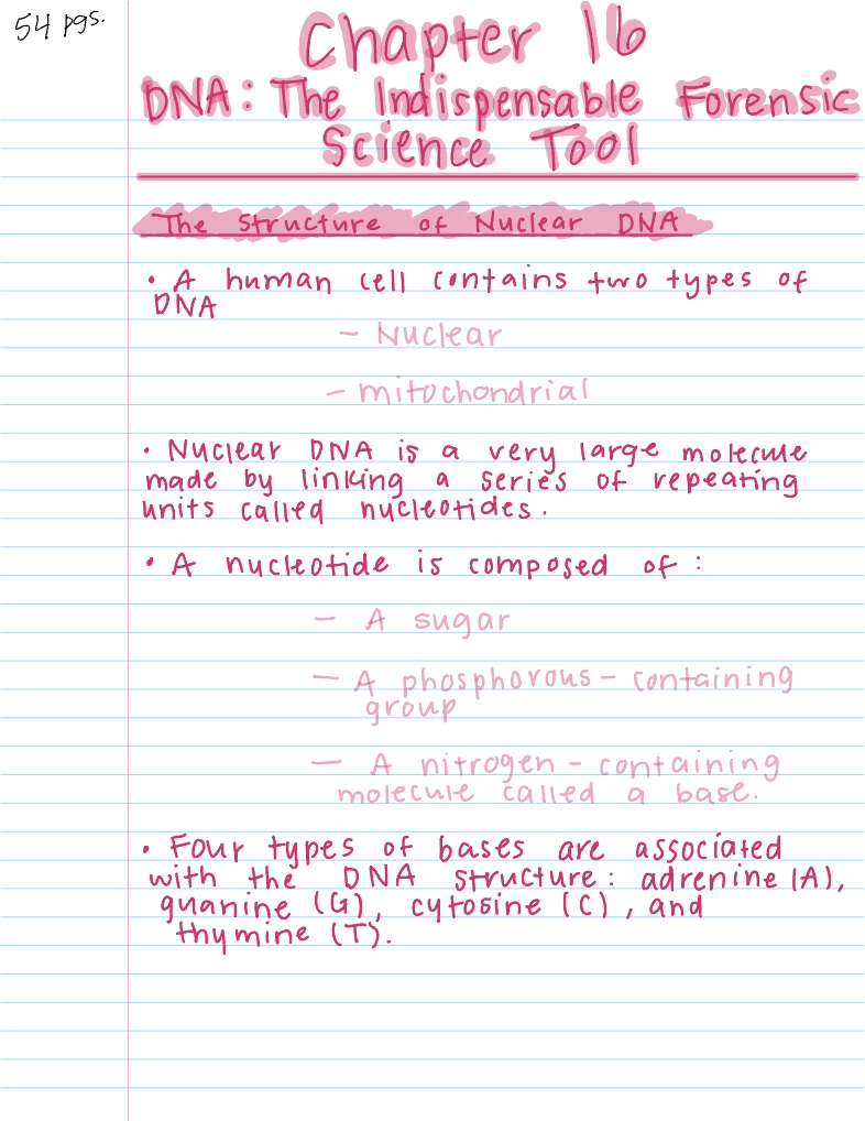 Chapter 16 Notes - Notability Gallery