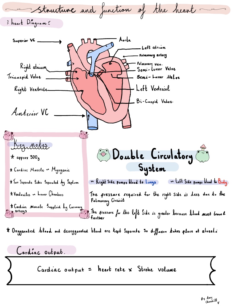 Subject Revision - Notability Gallery
