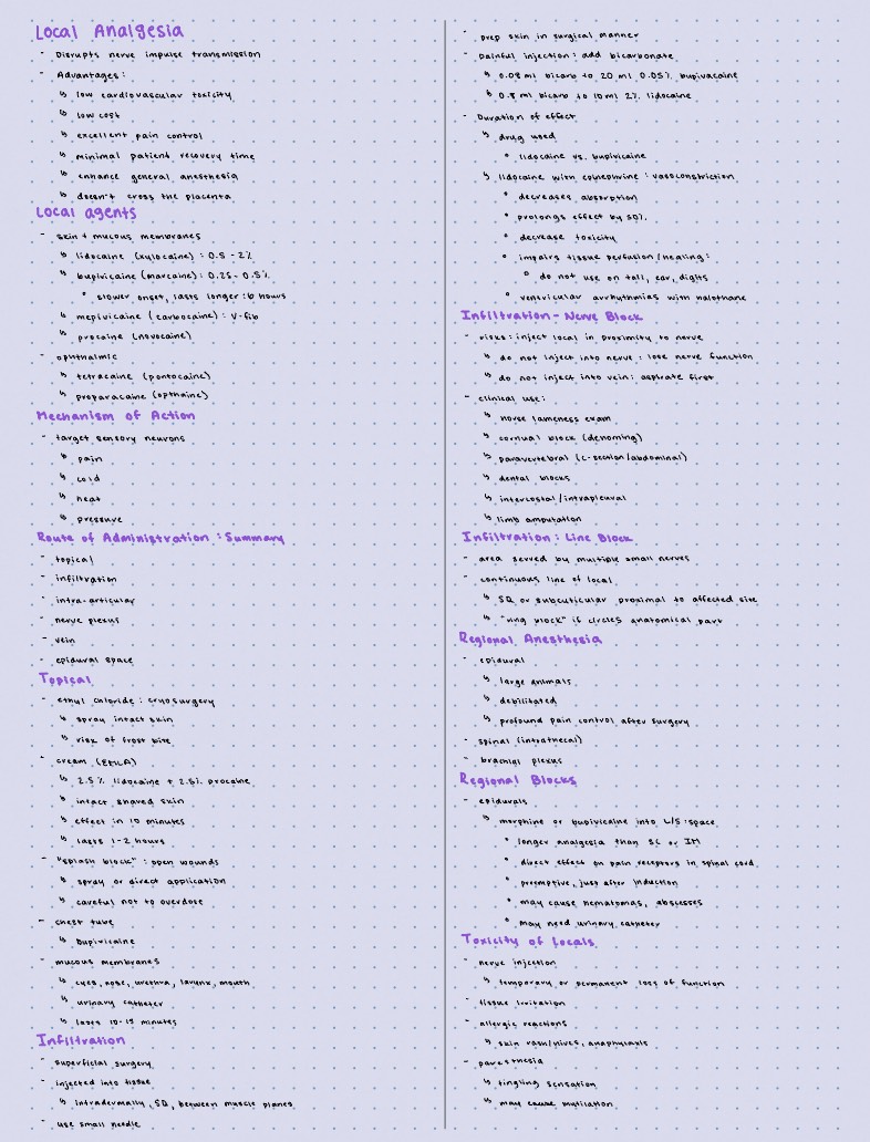 Special Techniques - Notability Gallery