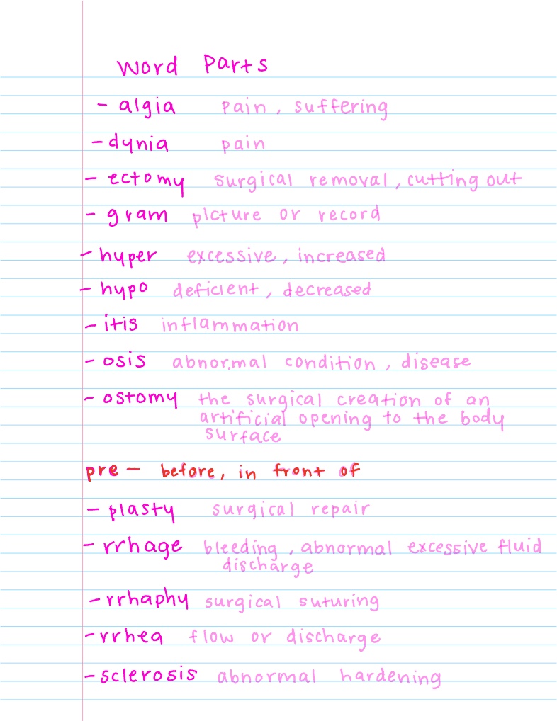 Word Parts - Notability Gallery