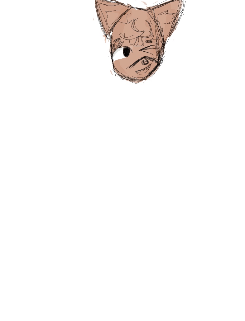 Can Someone Draw This Furry_ - Notability Gallery