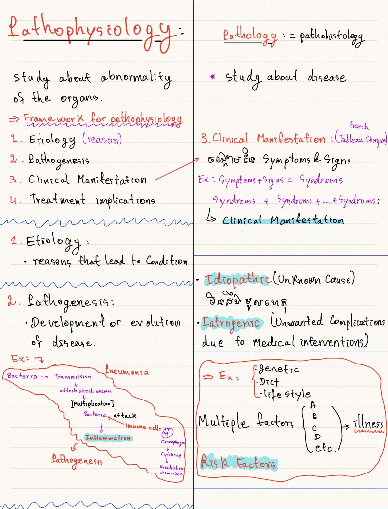Intro - Notability Gallery