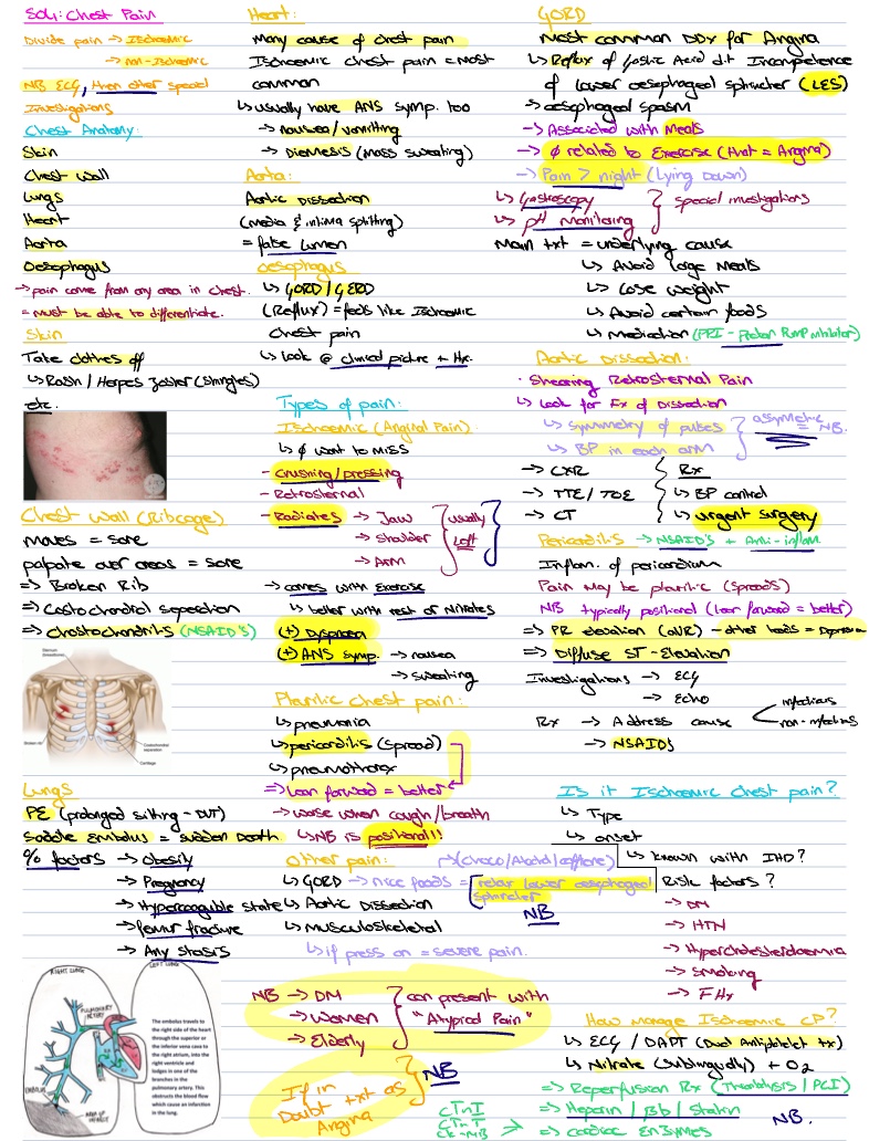 S04: Chest Pain (Dr W Muller) - Notability Gallery