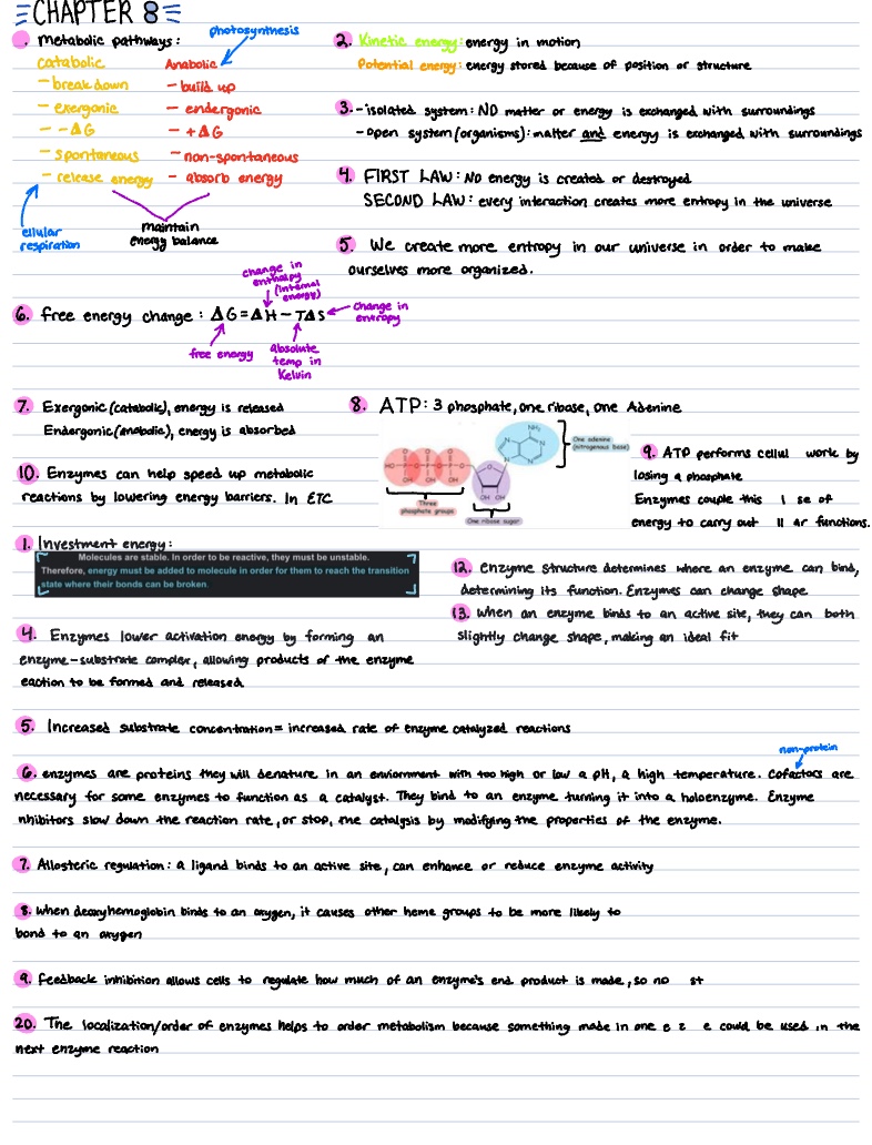 Learning Objectives Study - Notability Gallery