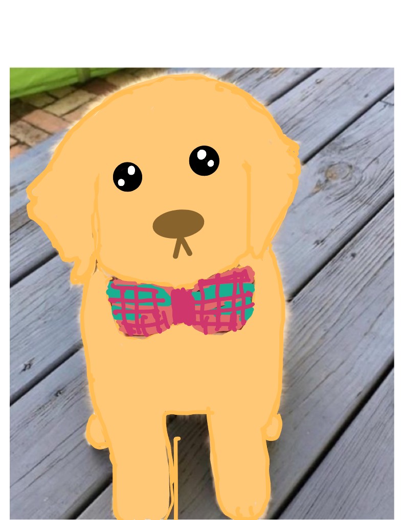 Dog Cute - Notability Gallery
