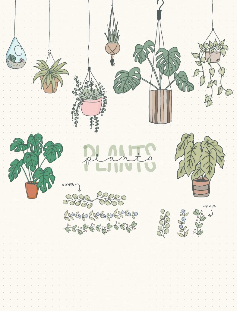 30 Easy Ways to Draw Plants & Leaves