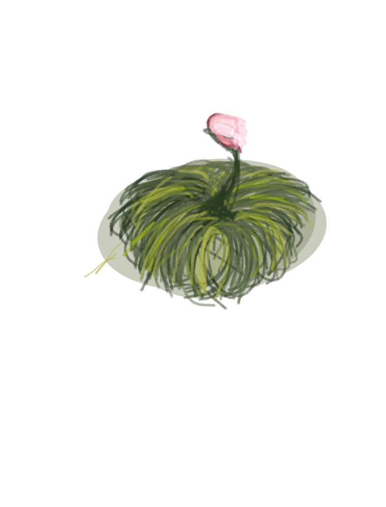 Pretty Flower - Notability Gallery