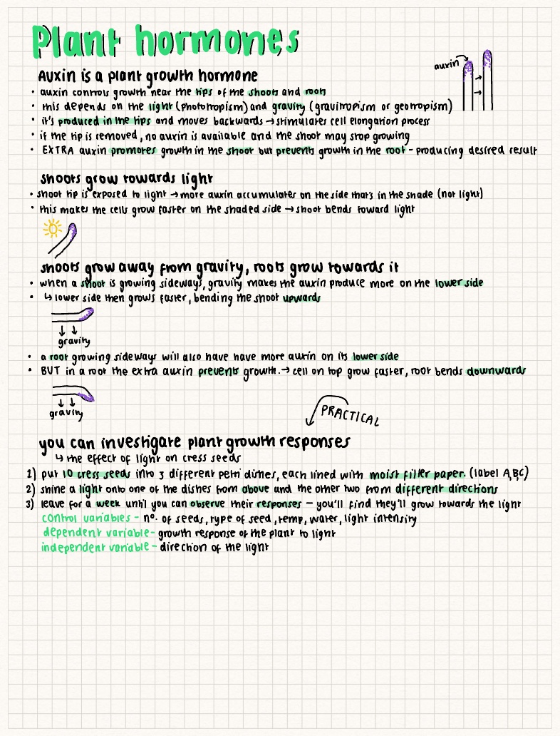 Plant Hormones - Notability Gallery