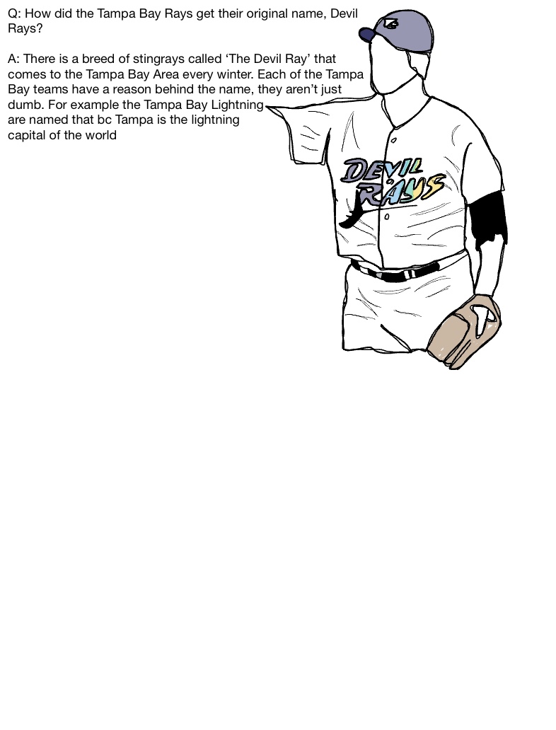 Devil Rays Jersey - Notability Gallery