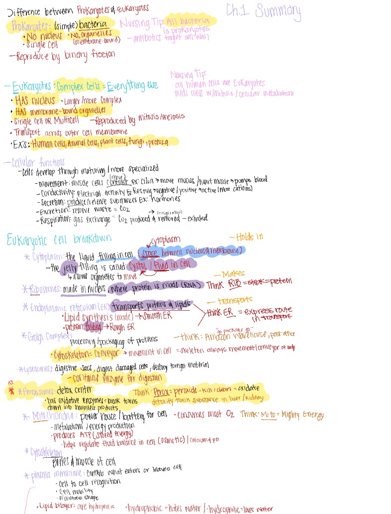 Ch.1 - Notability Gallery