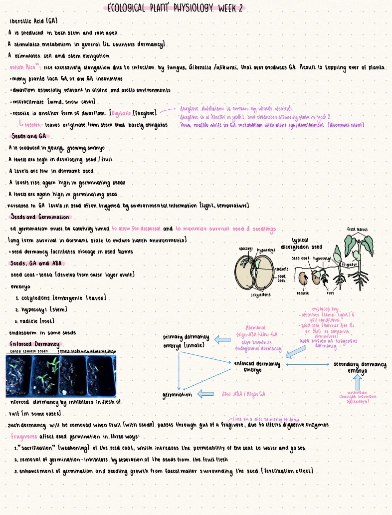PS2002 Ecological Plant Physiology Week 2 - Notability Gallery