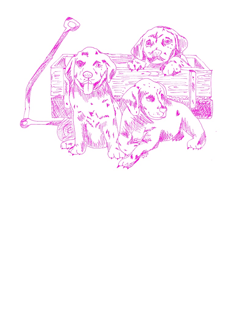 Sketch Testing Rough Sketches - Notability Gallery