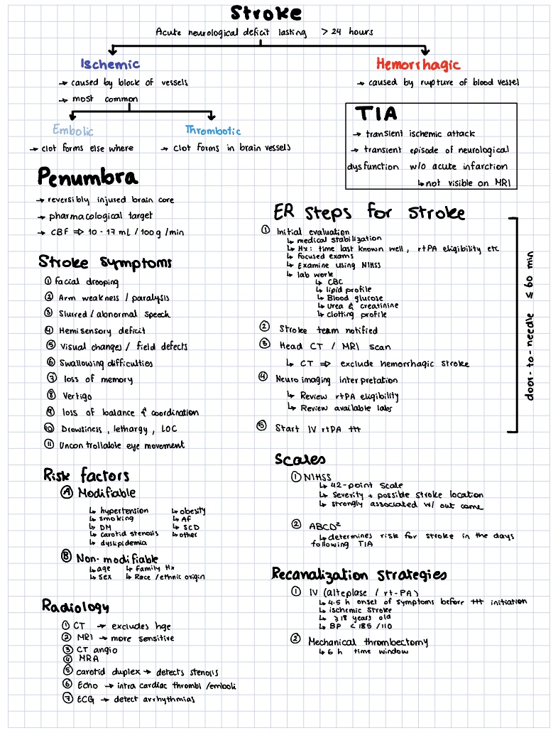 Stroke - Notability Gallery