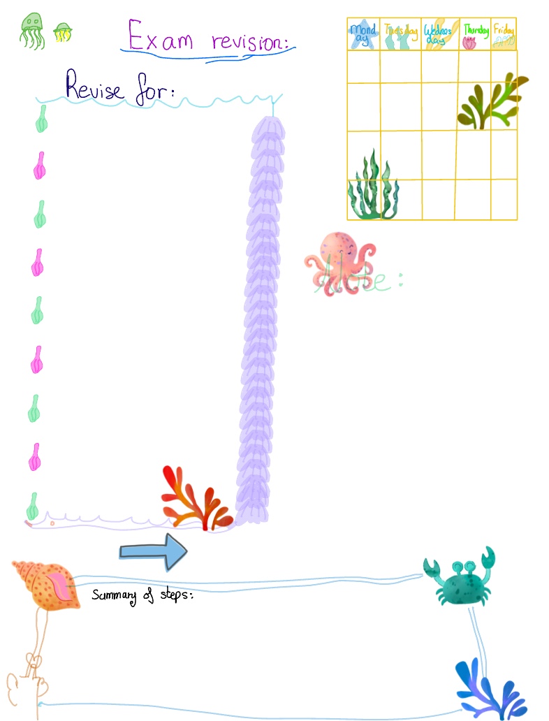 Template Series:Exam Revision - Notability Gallery