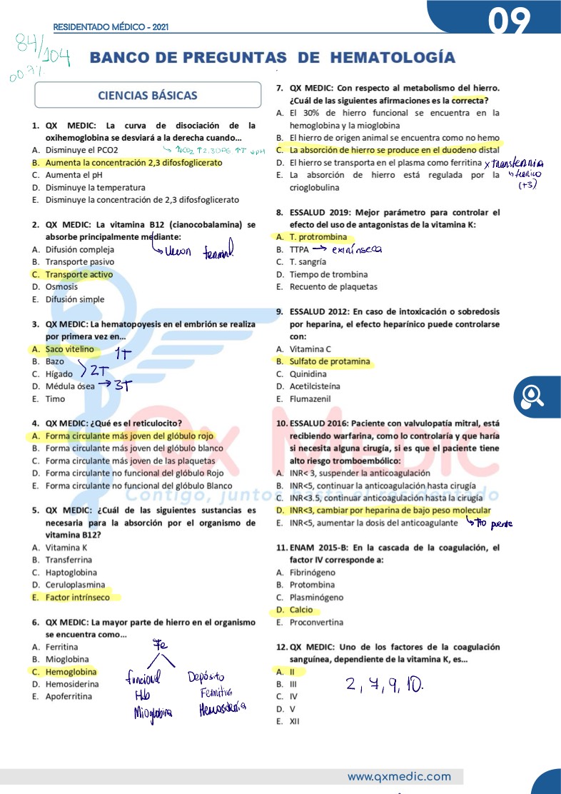 HEMATOLOGÍA BP - Notability Gallery