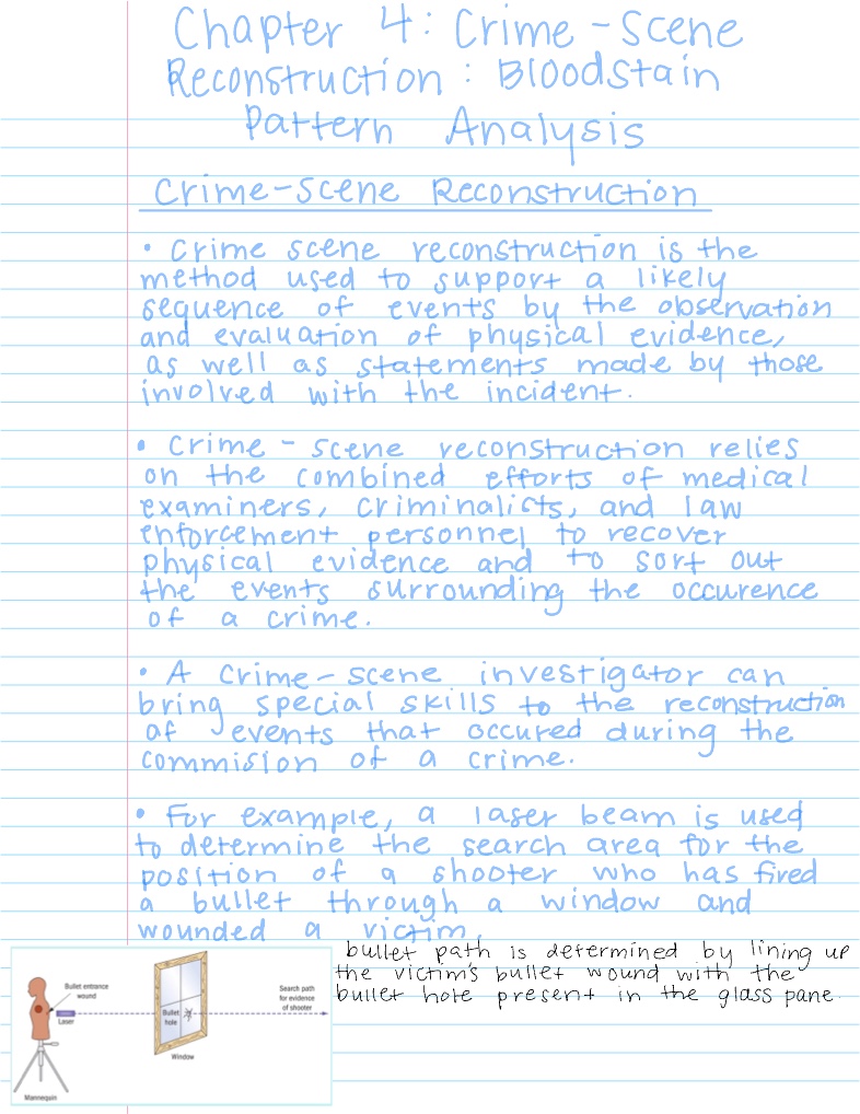 Chapter 4 Notes - Notability Gallery