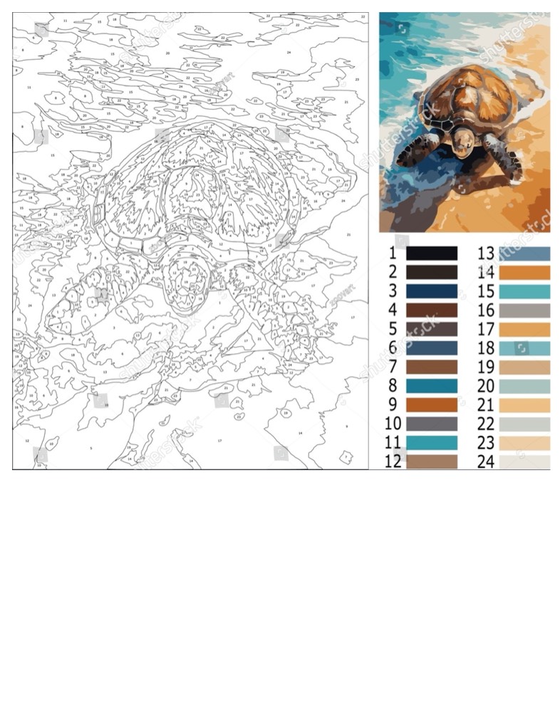 Turtle In Water - Notability Gallery