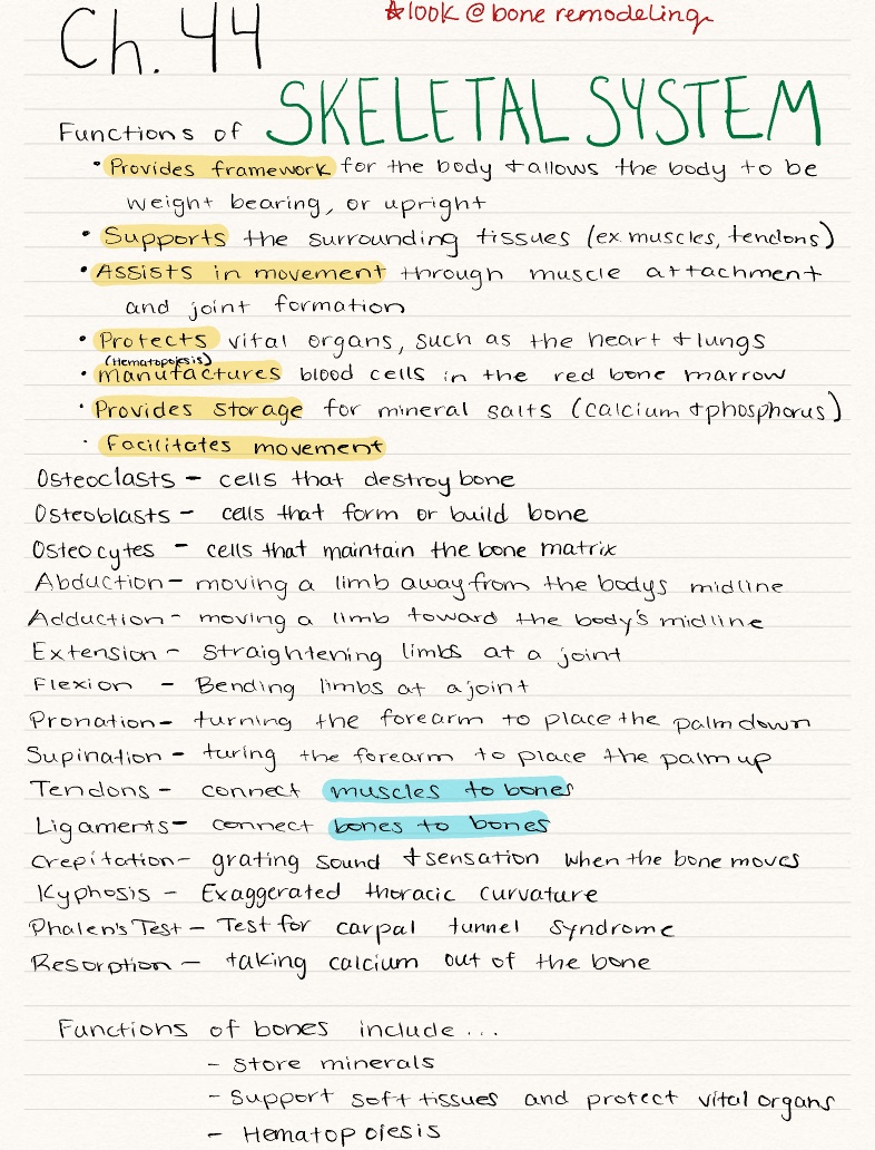 Exam 3 Notes - Notability Gallery