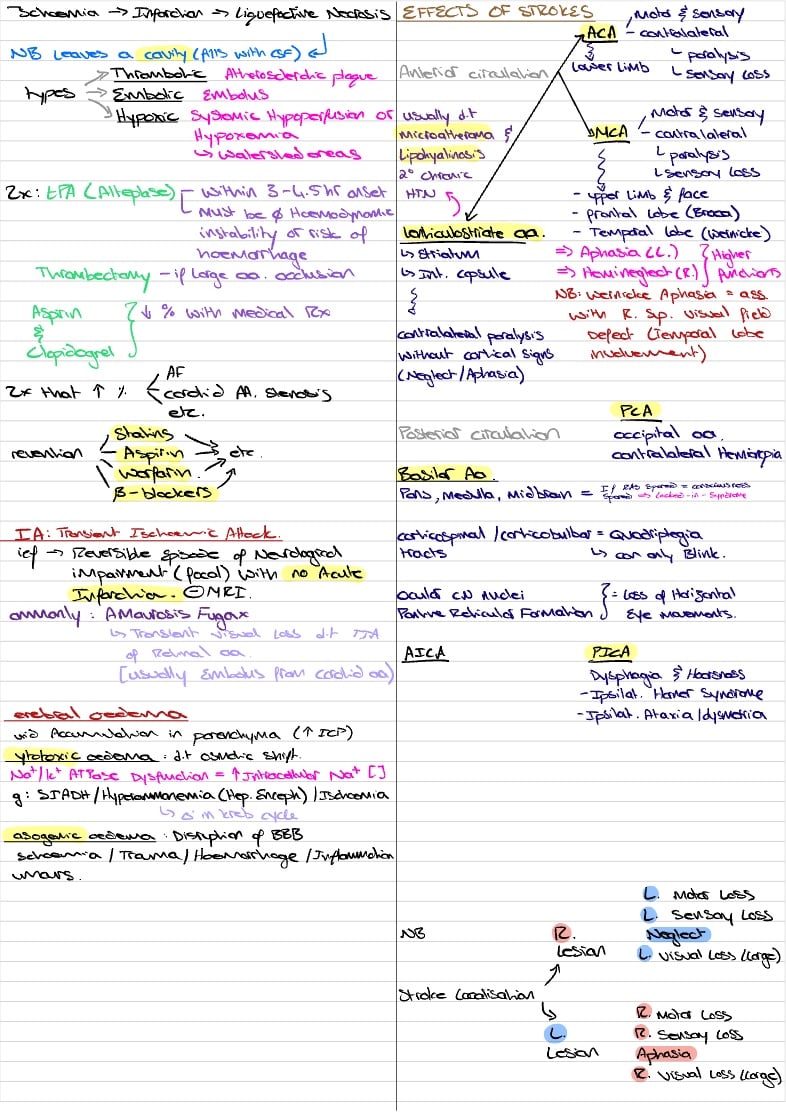 Stroke Summary Usmle Notability Gallery