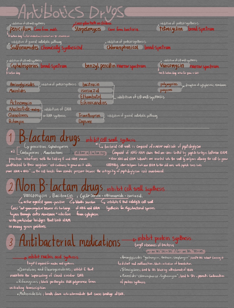 Bacteria And Antibiotics - Notability Gallery