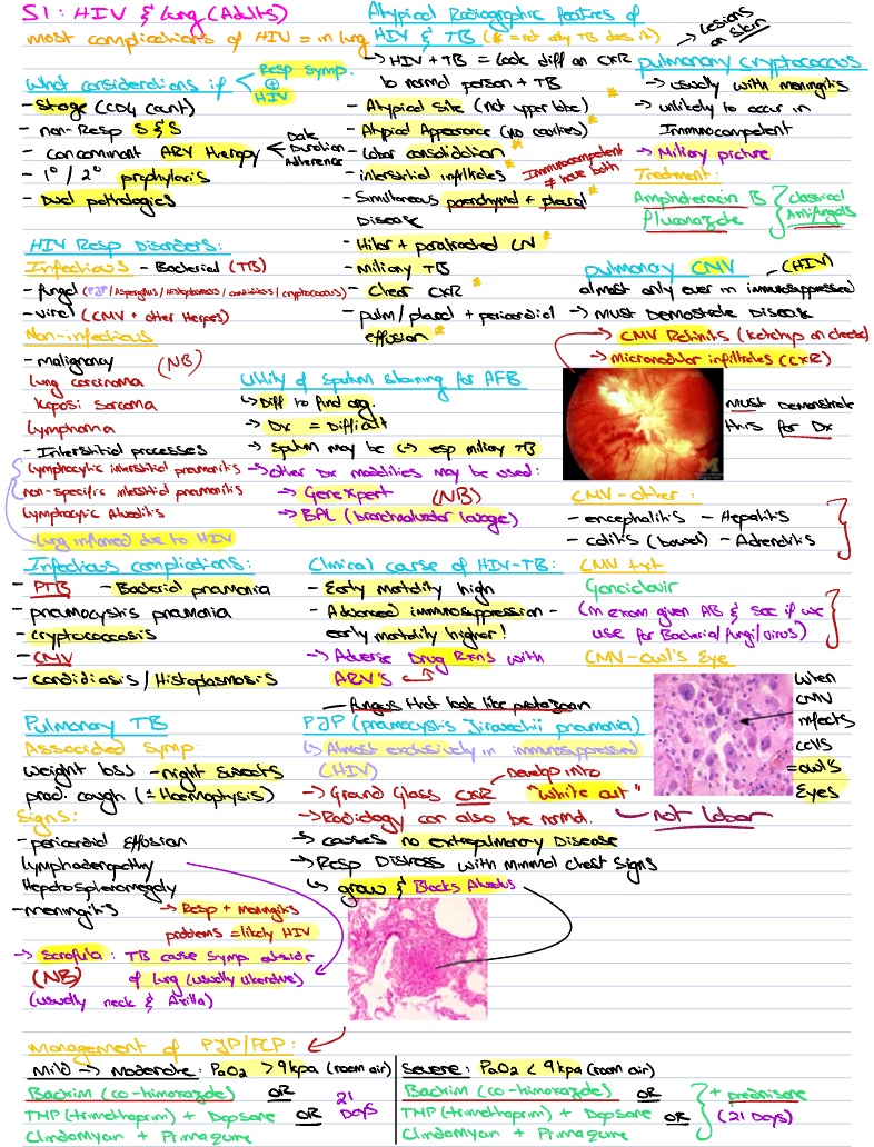 S01: HIV & Lung (Adults) - Notability Gallery