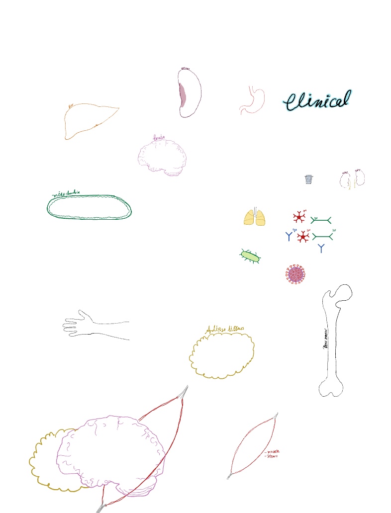 Organs And Cell Stickers - Notability Gallery