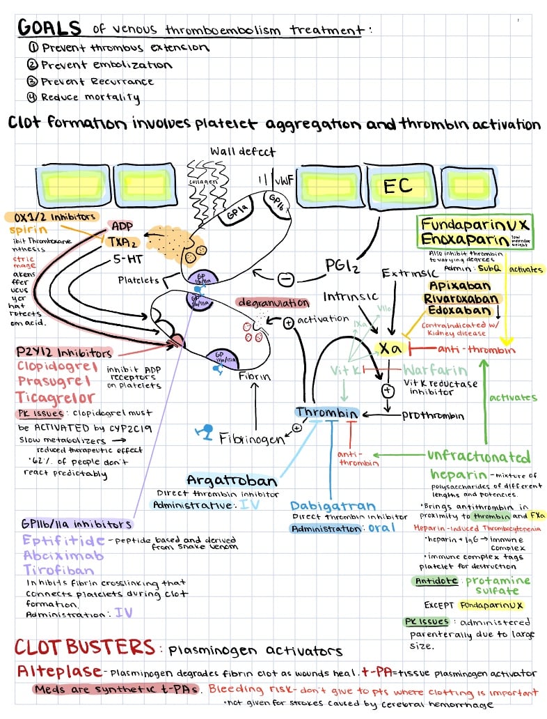 Anti-clotting Drugs - Notability Gallery